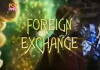 Foreign Exchange (2004)