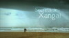 Secrets de Xangai (2011)