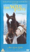 Das wilde Pony (1983)