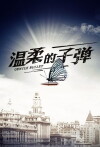 Gentle Bullet (2016)