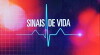 Sinais de Vida (2013)