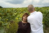 La vie intermédiaire (2009)