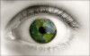 The Wake Up Project (2018)