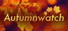 Autumnwatch (2006)