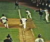1986 National League Championship Series (1986)