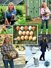 Fresh Eggs Daily with Lisa Steele (2016)