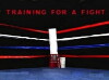 Training for a Fight (2012)