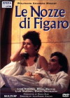 Die Hochzeit des Figaro (1996)