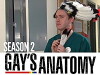 Gay's Anatomy (2009)