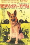 Azit Hakalba Hatzanhanit (1972)