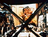 Allein und ausgeliefert (1987)
