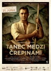 Tanec medzi crepinami (2012)