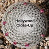 Hollywood Close-Up (1981)