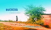 Buchcha (2017)