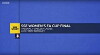 Women's FA Cup Final (2013)