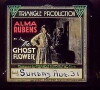 The Ghost Flower (1918)