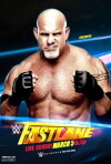 WWE Fastlane (2017)