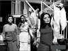 Au retour des oies blanches (1971)