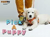 Pick a Puppy (2010)