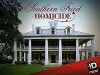 Southern Fried Homicide (2013)