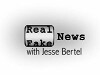 The Real/Fake News (2016)