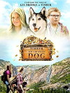Timber the Treasure Dog (2016)