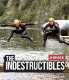 The Indestructibles (2015)