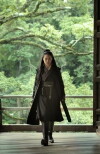 The Assassin (2015)