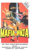 Das Geheimnis der Ninja (1985)