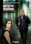 Al di là del lago (2009)
