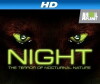 Night (2009)