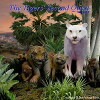 Tigers' Quest II: The Second Quest (2008)