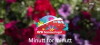 Sommertoget minutt for minutt (2017)