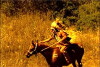 Buffalo Hearts (2007)