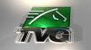 TVG Network: Year in Review 2014 (2014)