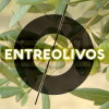 Entreolivos (2017)