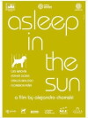 Asleep in the Sun (2010)