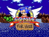 Sonic for Hire (2011)
