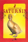 Les aventures de Saturnin (1965)