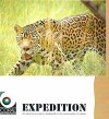 Expedición: Jaguar, Dios y Demonio (1993)