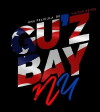 Guzbay NY (2017)