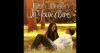In Your Arms (2014)