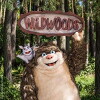 Wildwoods (2017)