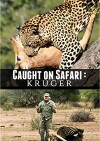 Kruger Safari (2009)