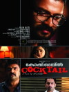 Cocktail (2010)