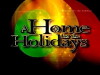 The 13th Annual 'A Home for the Holidays' (2011)