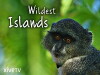 Wildest Islands (2012)