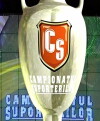 Campionatul Suporterilor (2007)