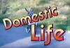 Domestic Life (1984)