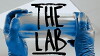 The Lab (2013)